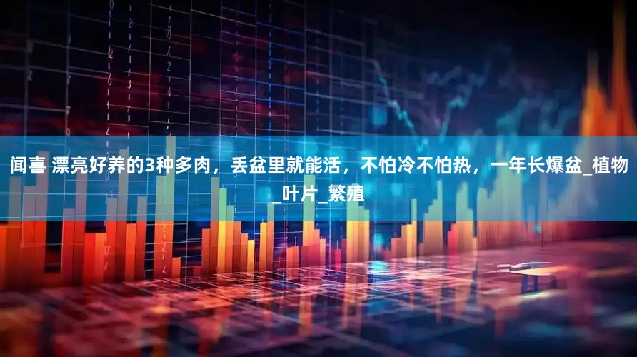 闻喜 漂亮好养的3种多肉，丢盆里就能活，不怕冷不怕热，一年长爆盆_植物_叶片_繁殖