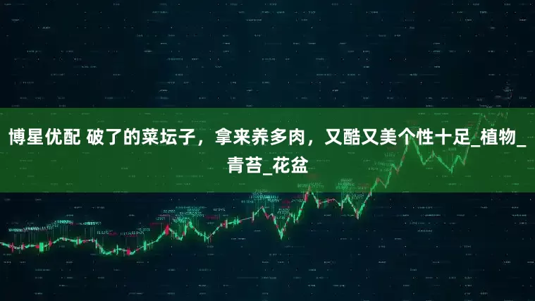 博星优配 破了的菜坛子，拿来养多肉，又酷又美个性十足_植物_青苔_花盆