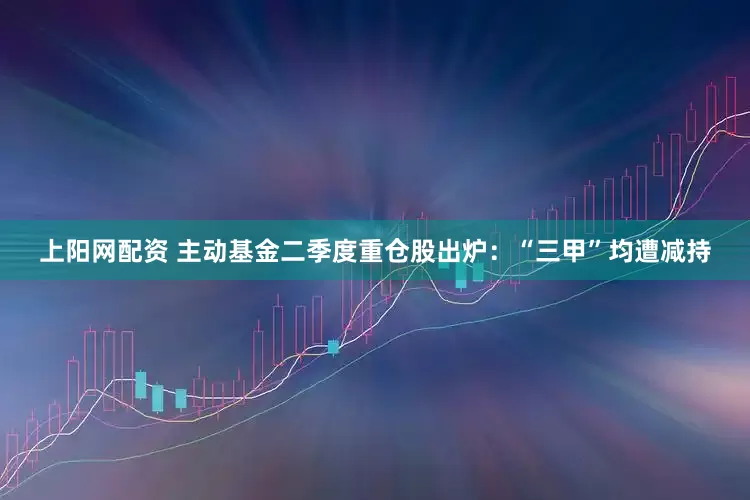 上阳网配资 主动基金二季度重仓股出炉：“三甲”均遭减持
