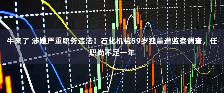 牛来了 涉嫌严重职务违法！石化机械59岁独董遭监察调查，任职尚不足一年