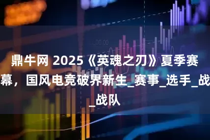 鼎牛网 2025《英魂之刃》夏季赛落幕，国风电竞破界新生_赛事_选手_战队