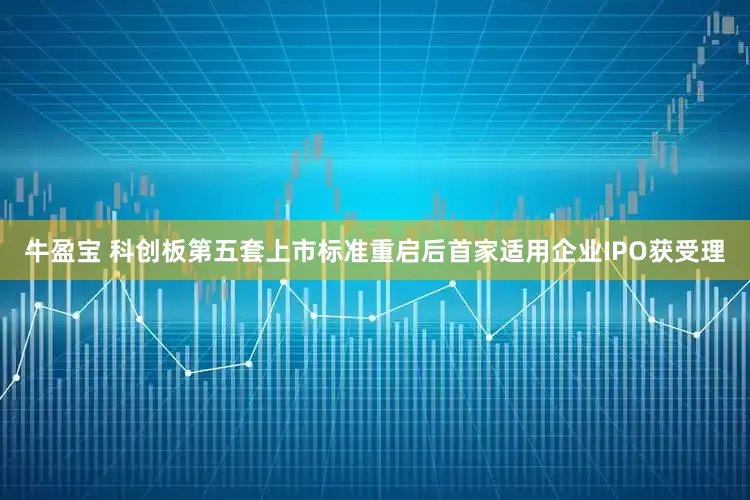 牛盈宝 科创板第五套上市标准重启后首家适用企业IPO获受理