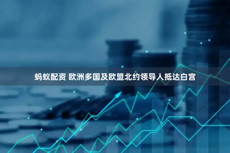 蚂蚁配资 欧洲多国及欧盟北约领导人抵达白宫