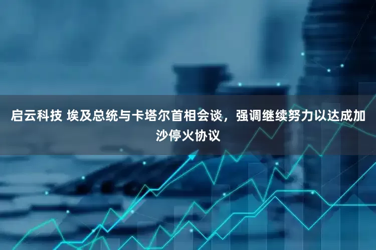 启云科技 埃及总统与卡塔尔首相会谈，强调继续努力以达成加沙停火协议