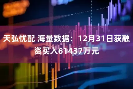 天弘忧配 海量数据：12月31日获融资买入61437万元